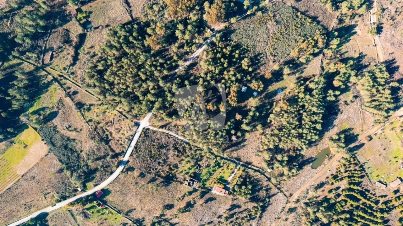 Terreno Agricola ou Rústico para Venda em Benquerenças Foto 6