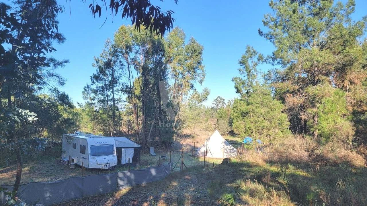 Terreno Agricola ou Rústico para Venda em Benquerenças Foto 46