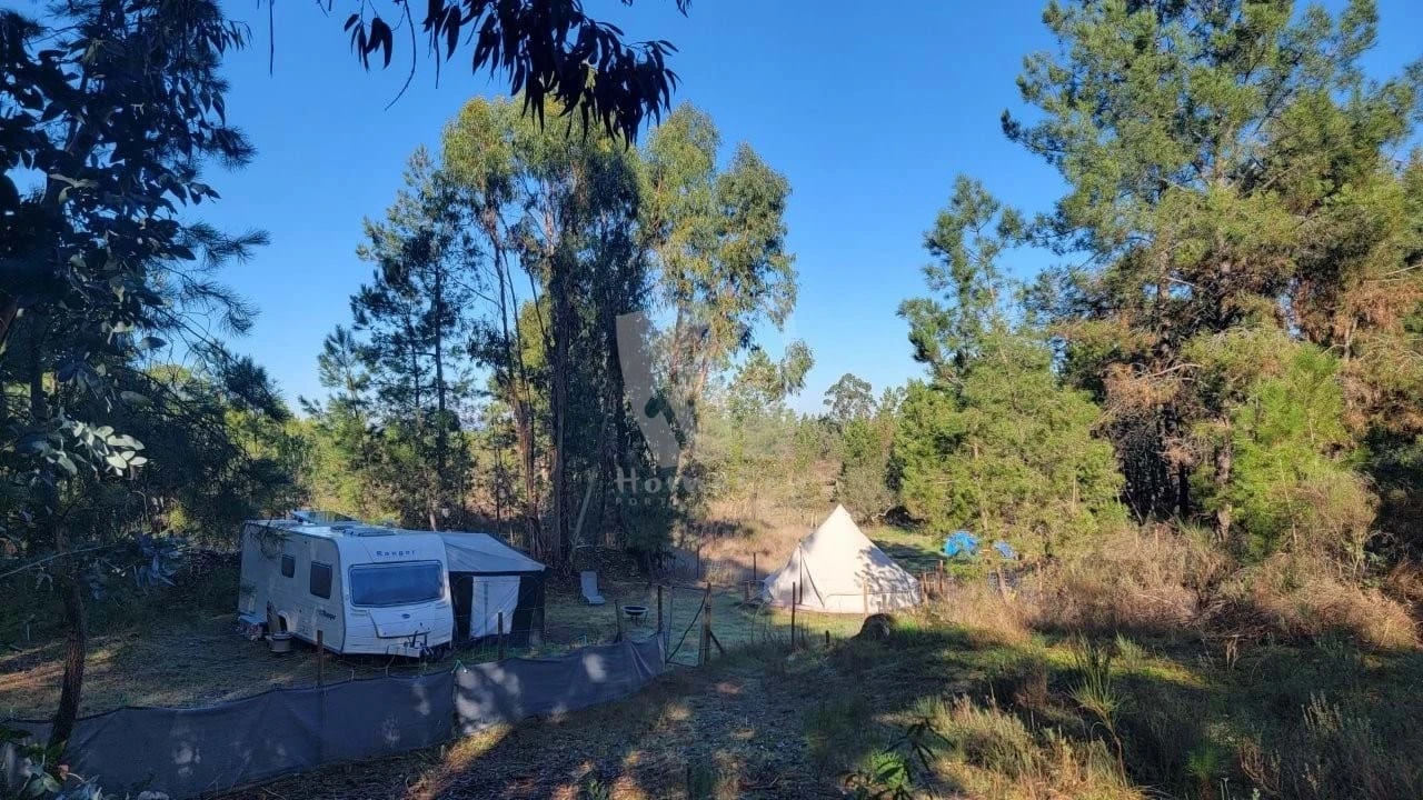 Terreno Agricola ou Rústico para Venda em Benquerenças Foto 46