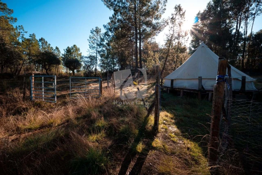 Terreno Agricola ou Rústico para Venda em Benquerenças Foto 31