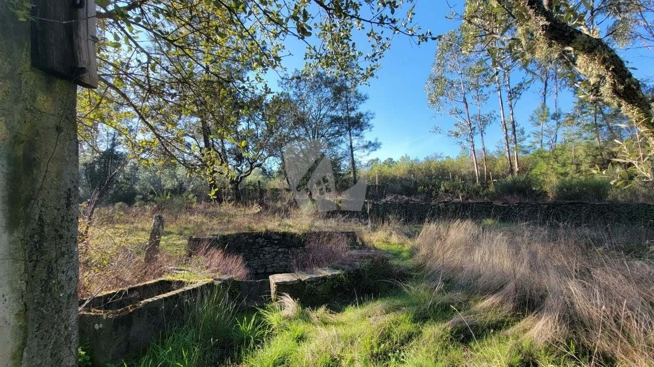 Terreno Agricola ou Rústico para Venda em Benquerenças Foto 28