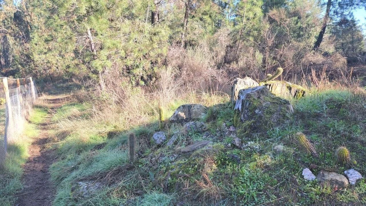 Terreno Agricola ou Rústico para Venda em Benquerenças Foto 47