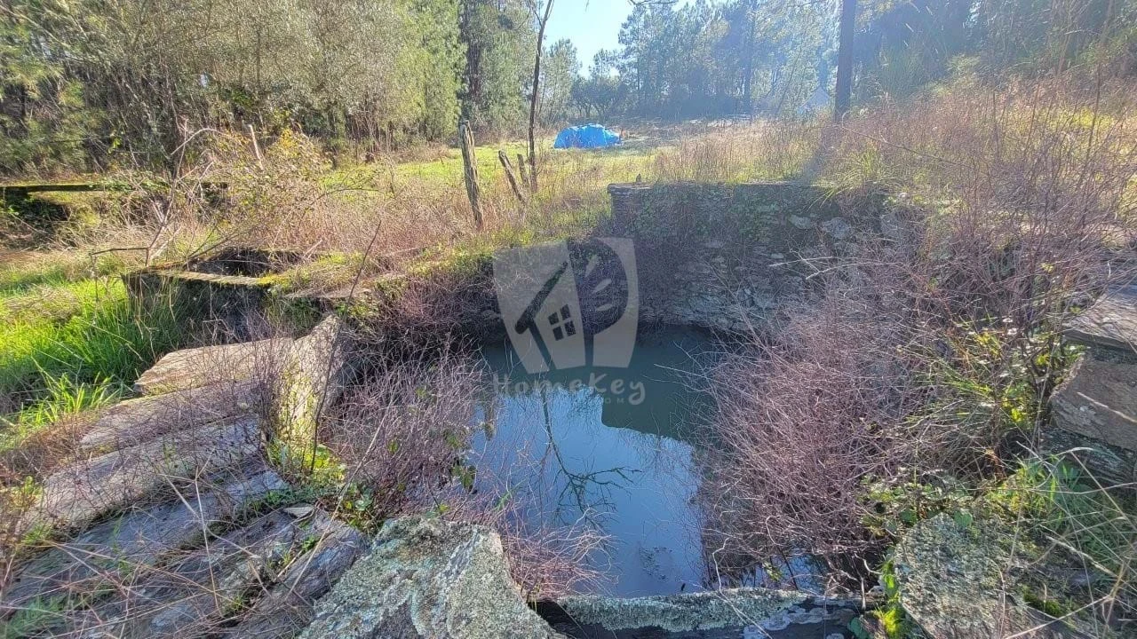Terreno Agricola ou Rústico para Venda em Benquerenças Foto 29