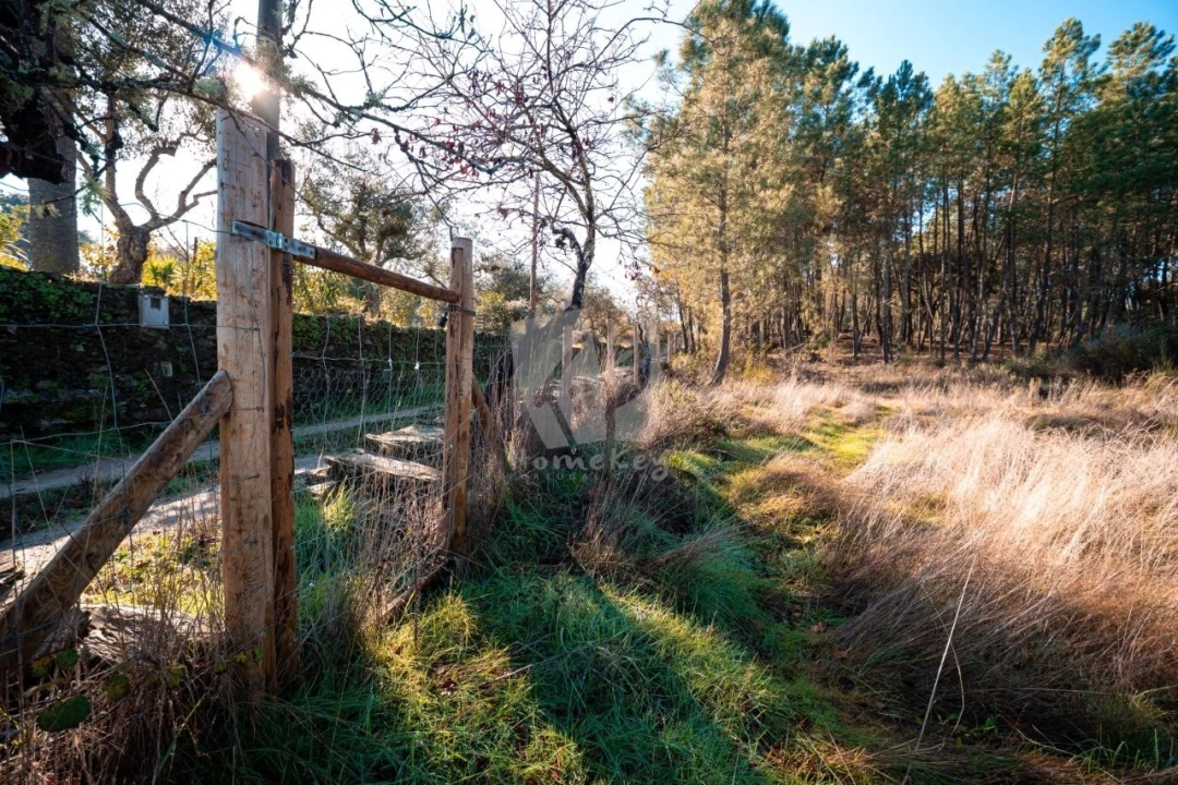 Terreno Agricola ou Rústico para Venda em Benquerenças Foto 36