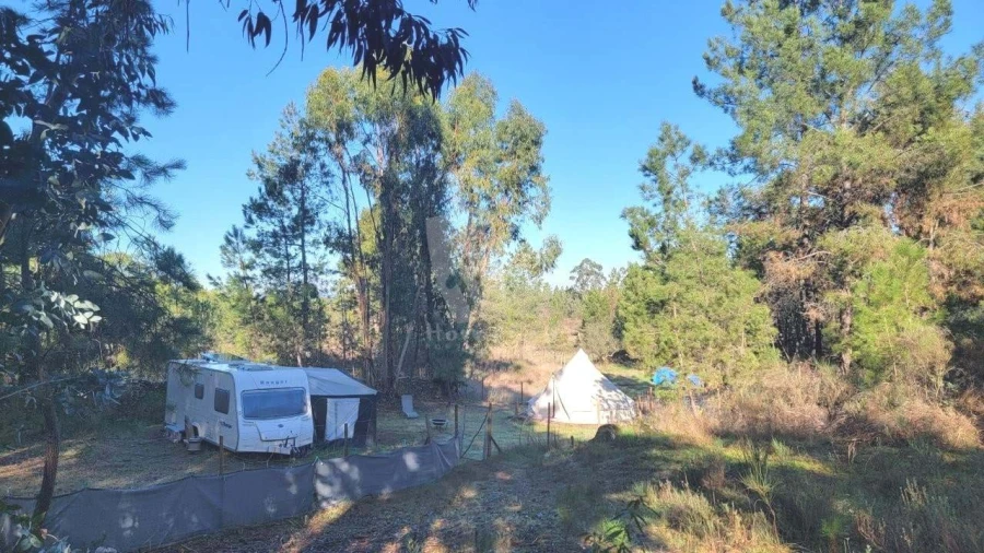 Terreno Agricola ou Rústico para Venda em Benquerenças Foto 46
