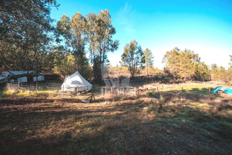Terreno Agricola ou Rústico para Venda em Benquerenças Foto 32