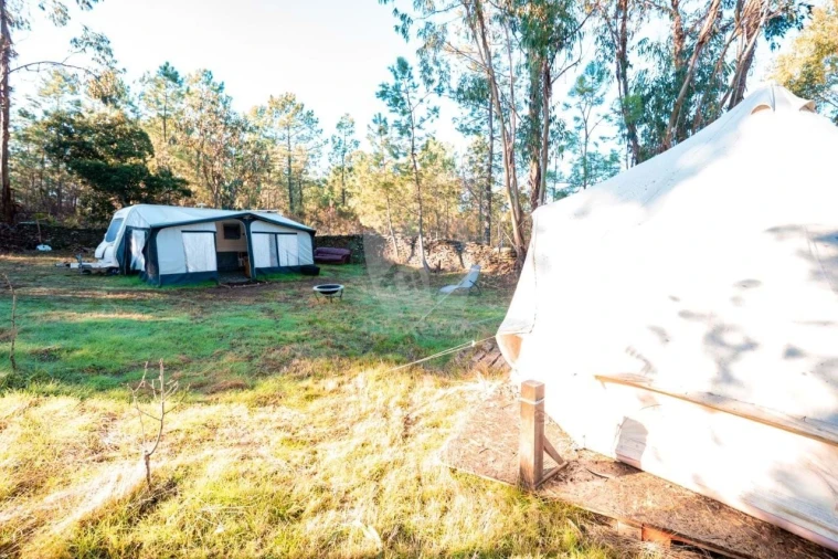 Terreno Agricola ou Rústico para Venda em Benquerenças Foto 27