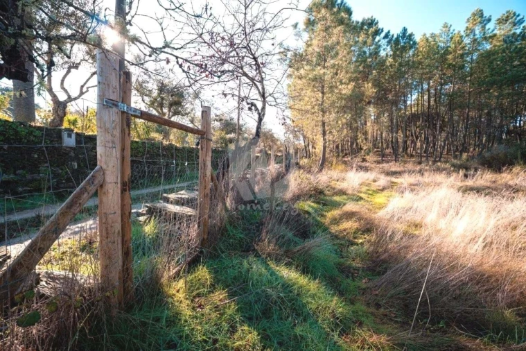 Terreno Agricola ou Rústico para Venda em Benquerenças Foto 36