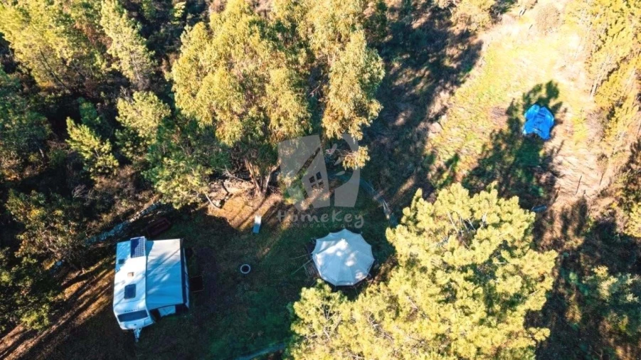 Terreno Agricola ou Rústico para Venda em Benquerenças Foto 5