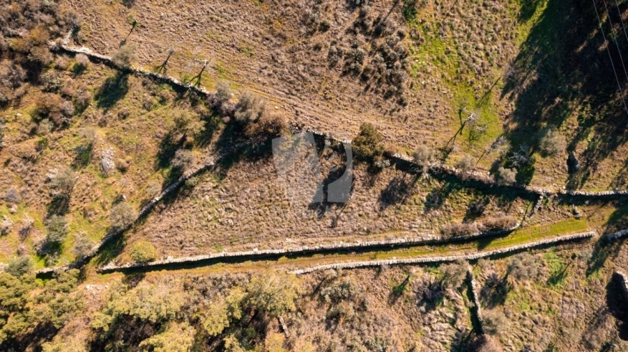 Terreno Agricola ou Rústico para Venda em Benquerenças Foto 44