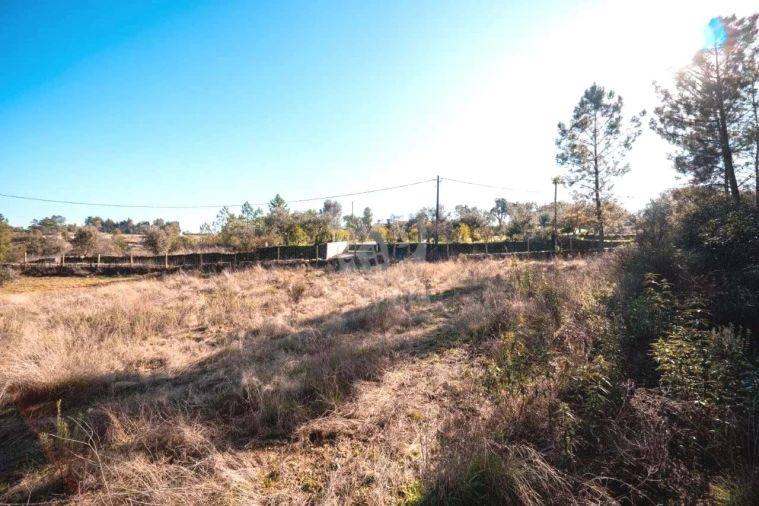 Terreno Agricola ou Rústico para Venda em Benquerenças Foto 35