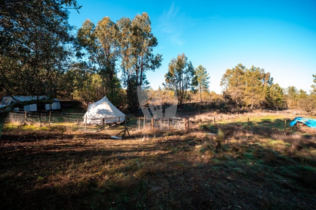 Terreno Agricola ou Rústico para Venda em Benquerenças Foto 32