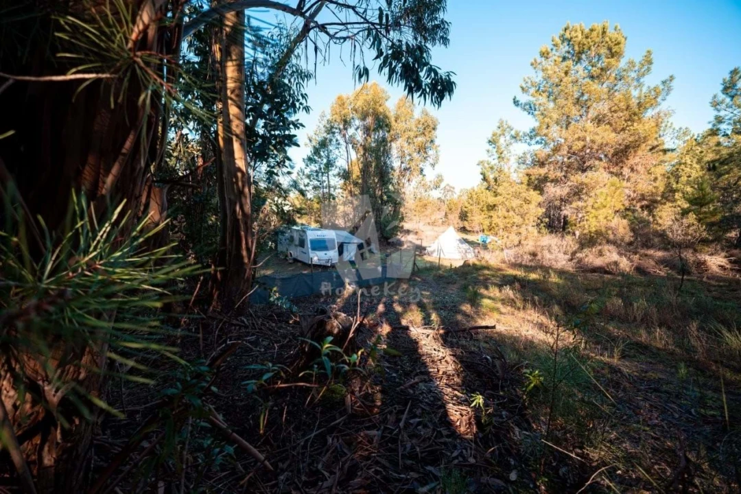Terreno Agricola ou Rústico para Venda em Benquerenças Foto 12