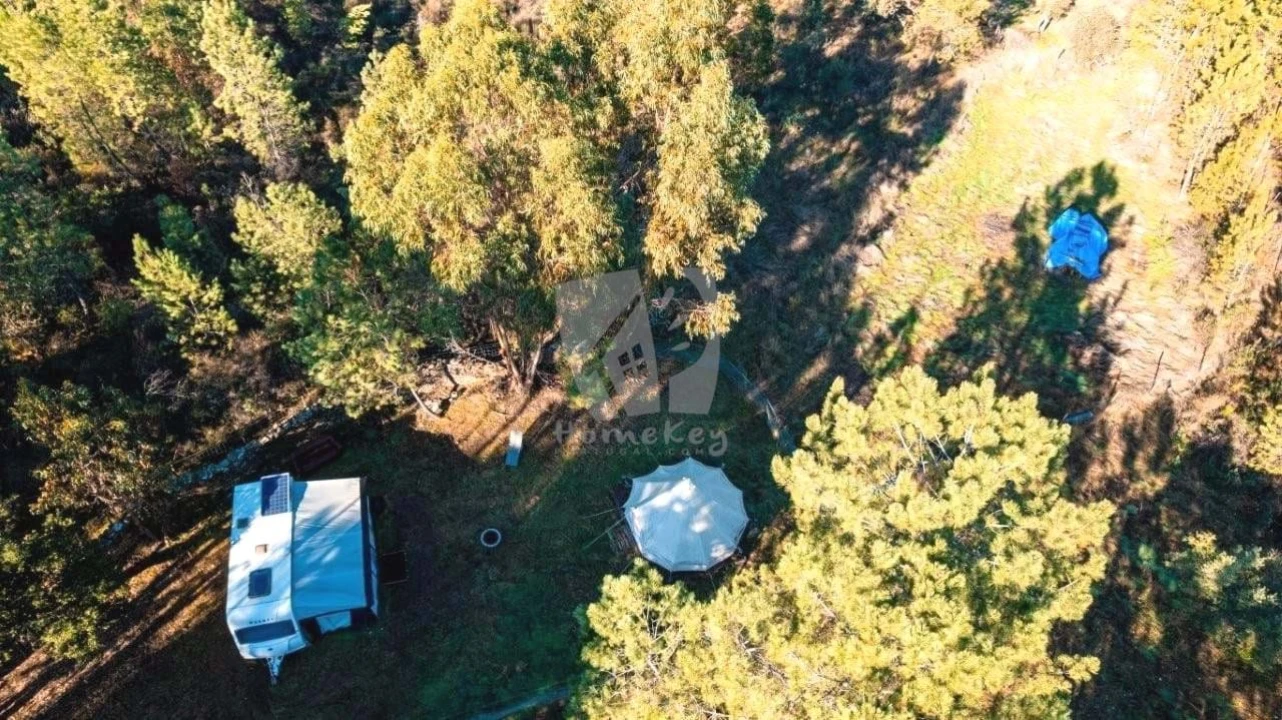 Terreno Agricola ou Rústico para Venda em Benquerenças Foto 5