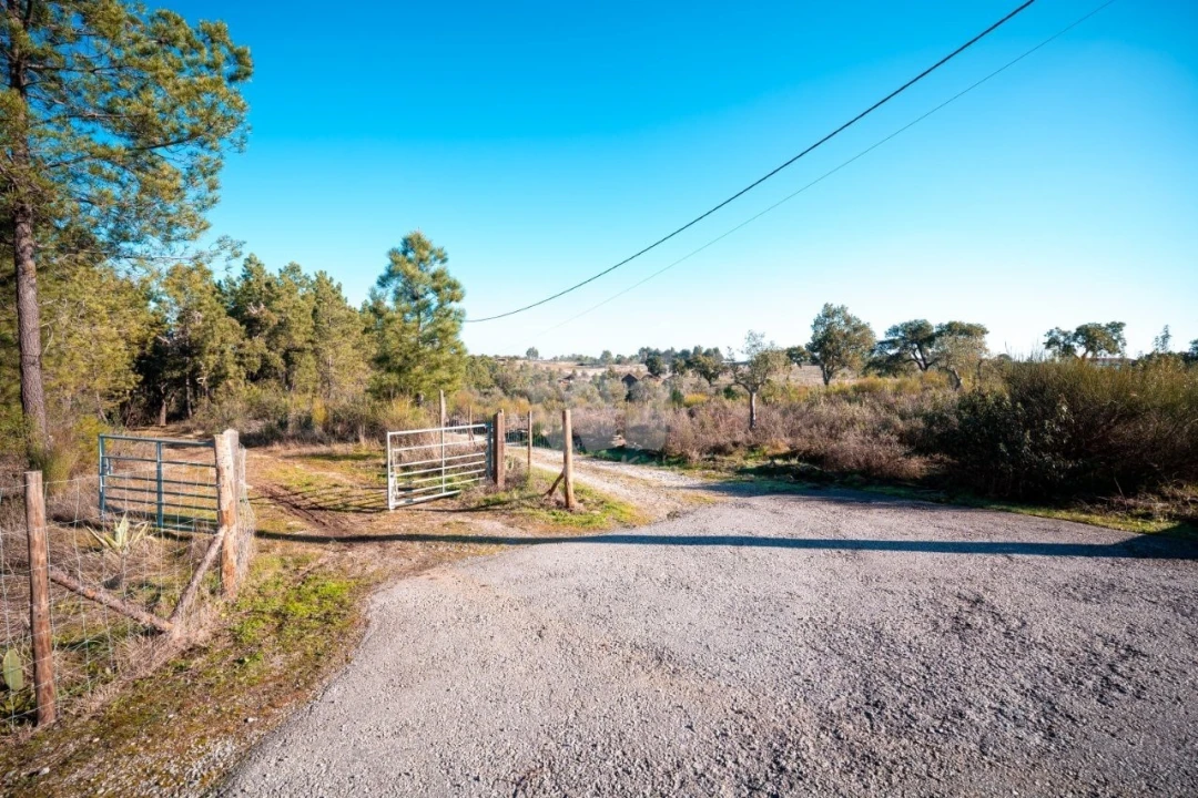 Terreno Agricola ou Rústico para Venda em Benquerenças Foto 7