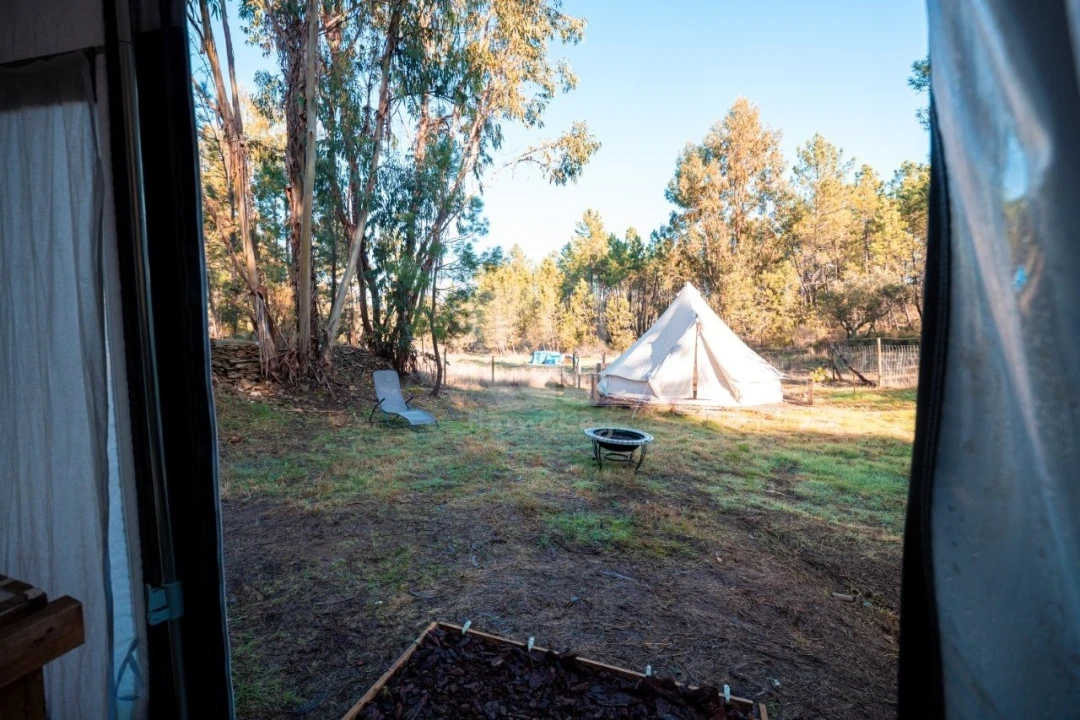 Terreno Agricola ou Rústico para Venda em Benquerenças Foto 15