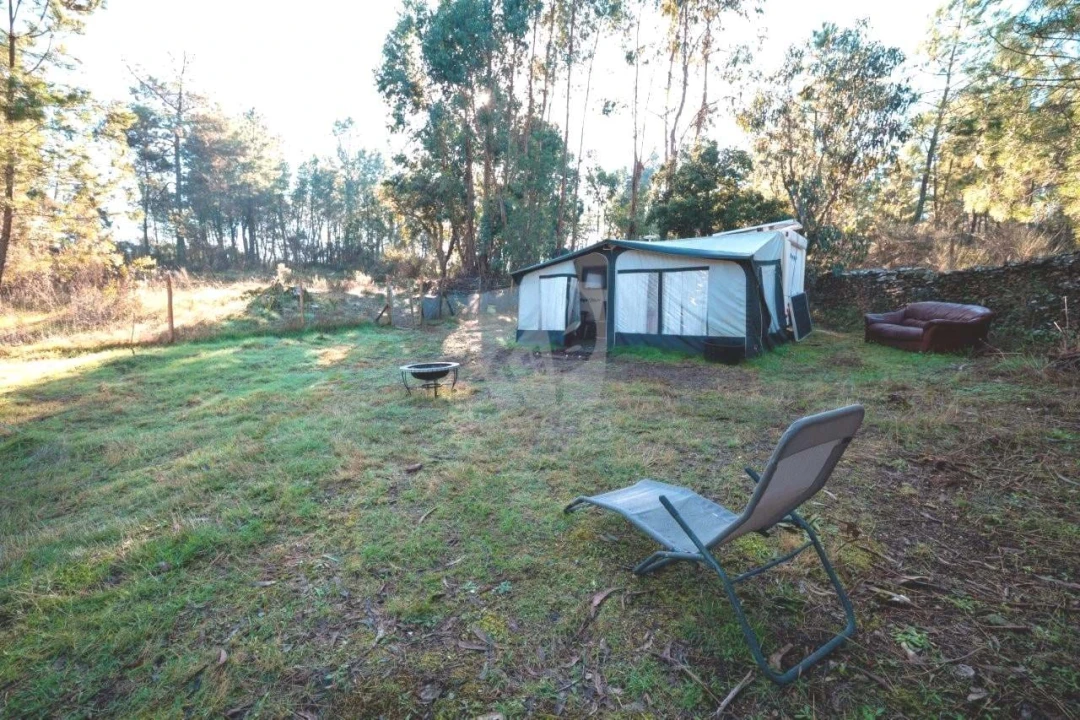 Terreno Agricola ou Rústico para Venda em Benquerenças Foto 26
