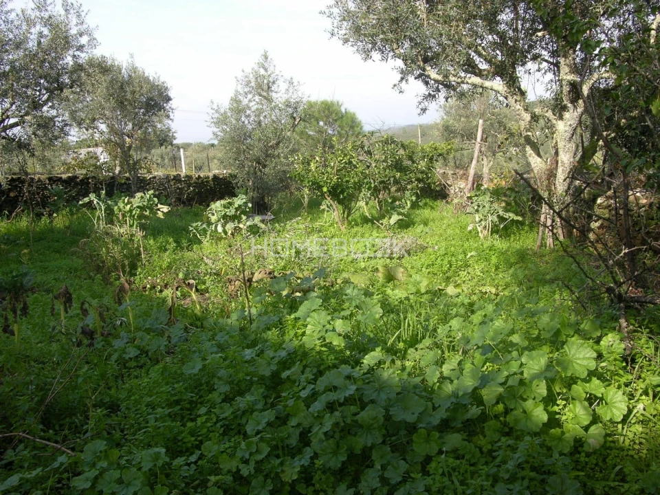 Moradia T2 para Venda em São Matias Foto 8