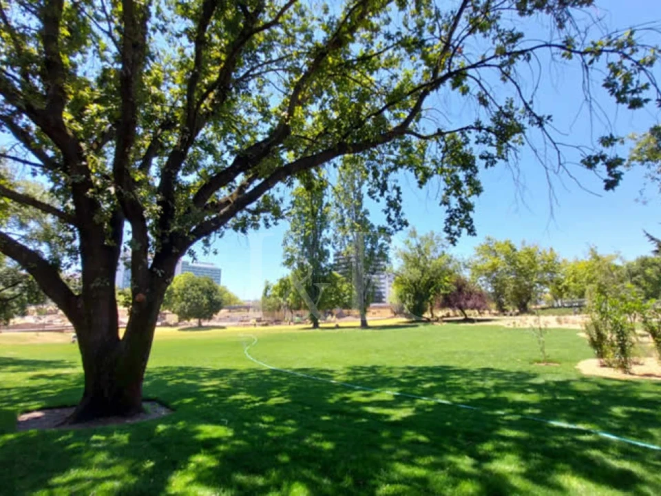 Apartamento T3 para Venda em Avenidas Novas Foto 12