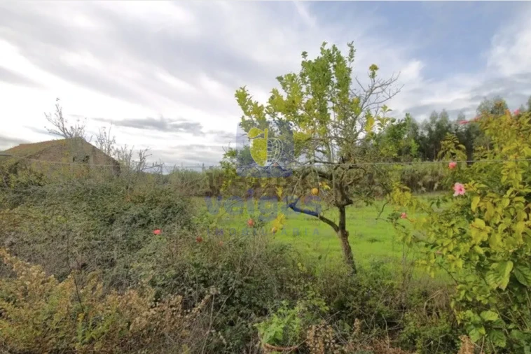 Moradia T3 para Venda em Alvorninha Foto 24