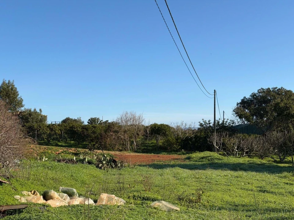 Terreno Agricola ou Rústico para Venda em São Silvestre Foto 6