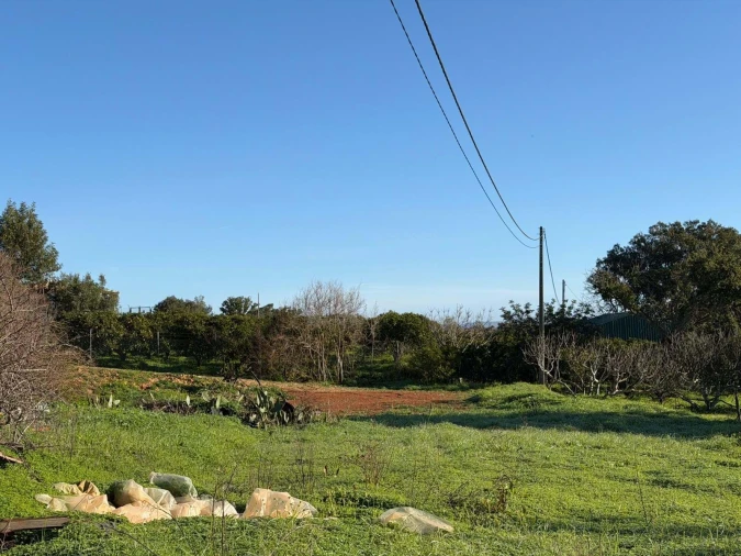 Terreno Agricola ou Rústico para Venda em São Silvestre Foto 6