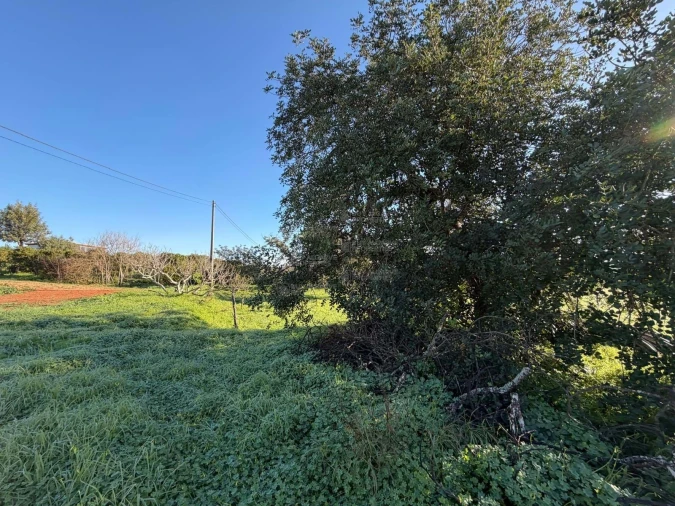 Terreno Agricola ou Rústico para Venda em São Silvestre Foto 8