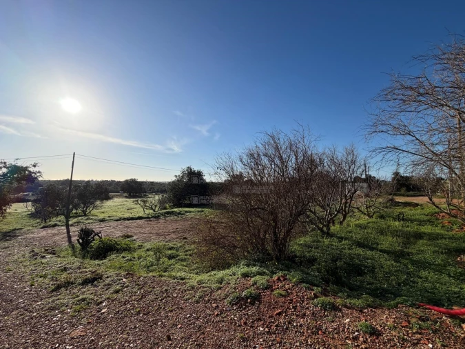 Terreno Agricola ou Rústico para Venda em São Silvestre Foto 5