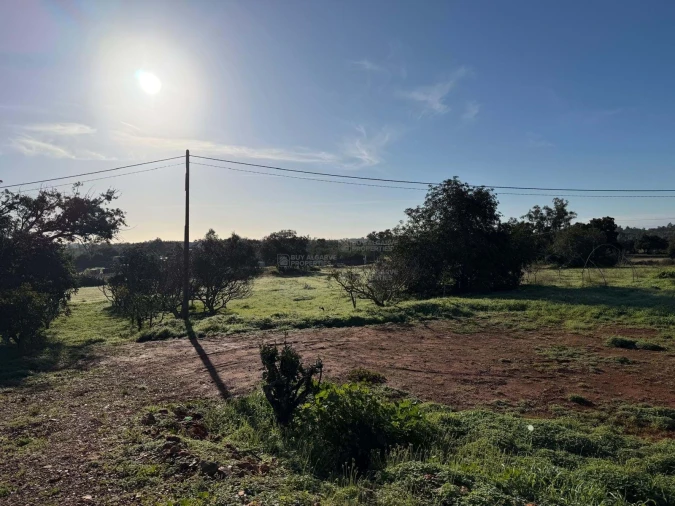 Terreno Agricola ou Rústico para Venda em São Silvestre Foto 11