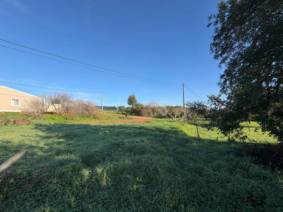 Terreno Agricola ou Rústico para Venda em São Silvestre Foto 7