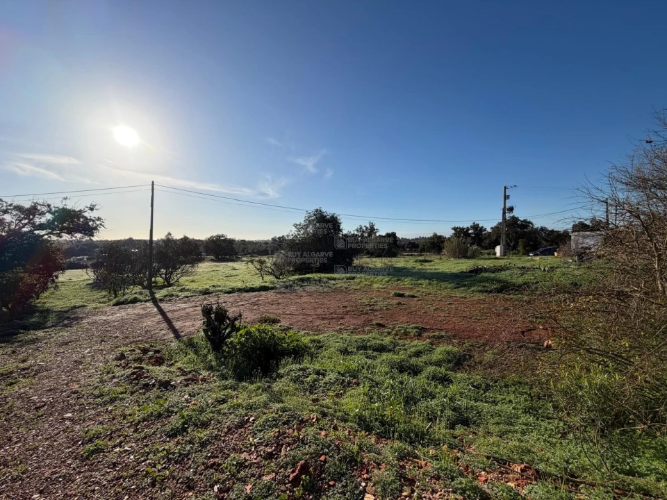 Terreno Agricola ou Rústico para Venda em São Silvestre Foto 12