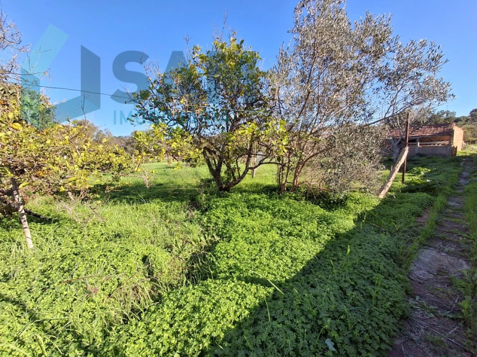 Moradia T4 para Venda em São Bartolomeu de Messines Foto 34