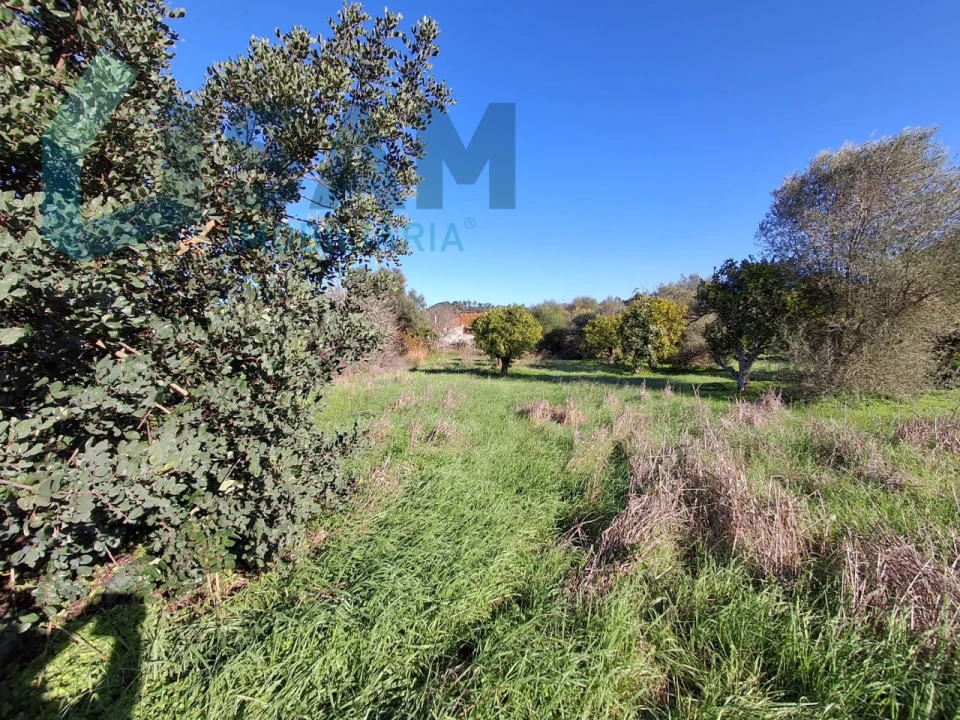 Moradia T4 para Venda em São Bartolomeu de Messines Foto 35