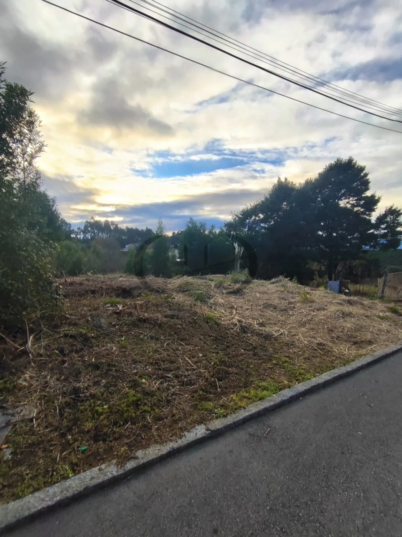Terreno para Venda em Grijó e Sermonde Foto 2