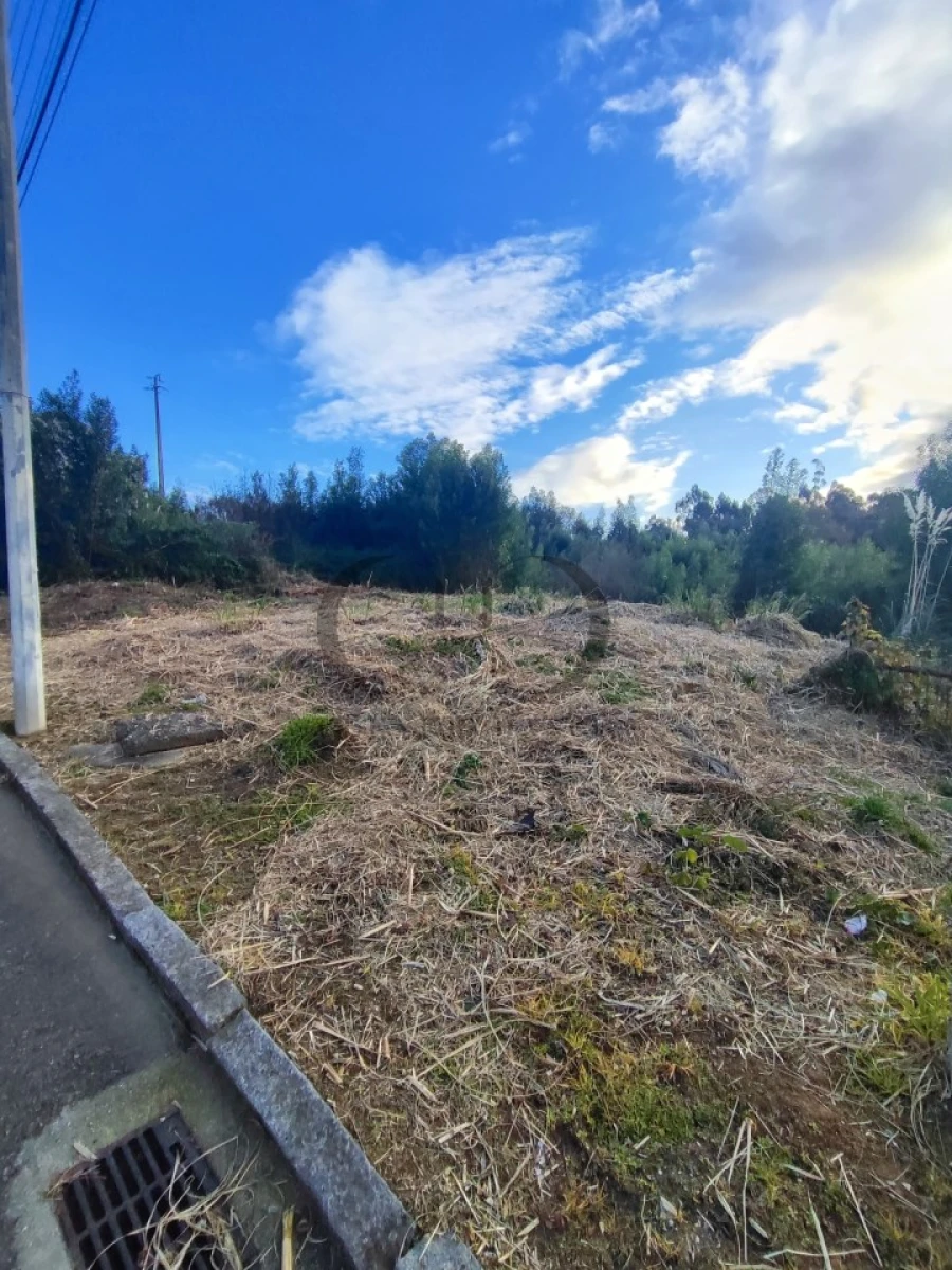 Terreno para Venda em Grijó e Sermonde Foto 3
