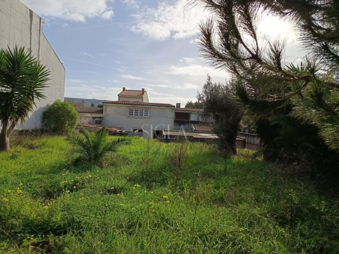 Terreno para Venda em Madalena Foto 1