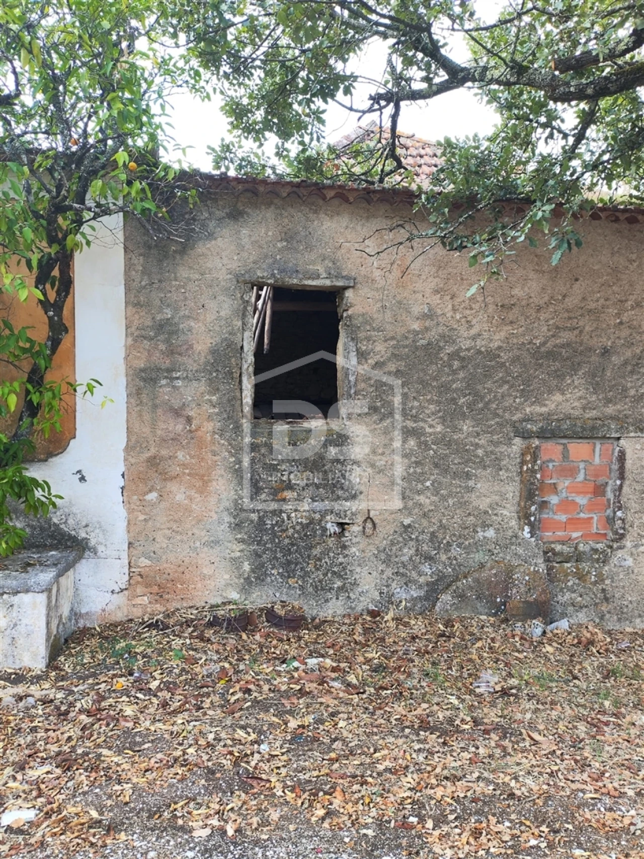 Moradia T3 para Venda em Nossa Senhora das Misericordias Foto 10