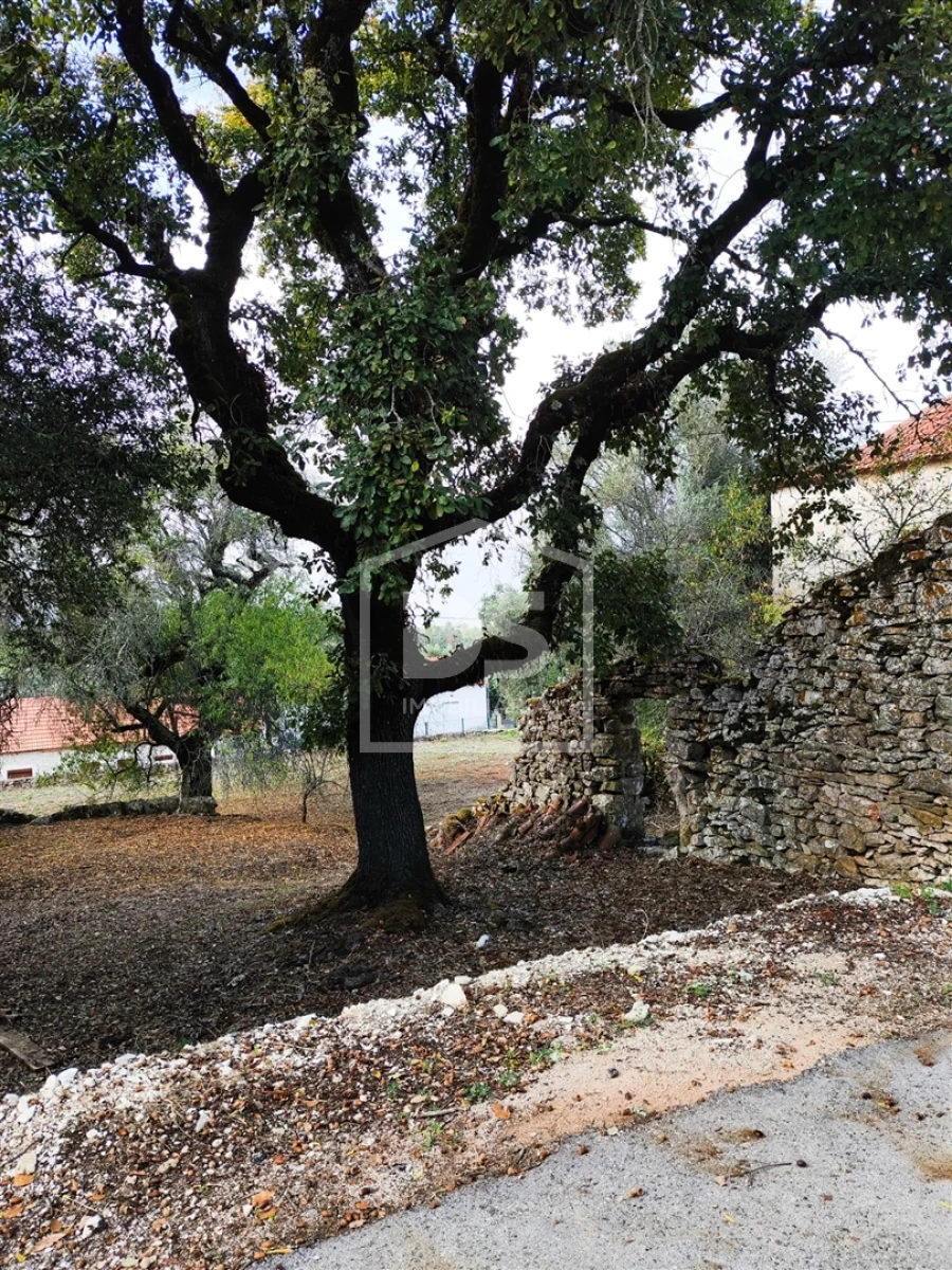 Moradia T3 para Venda em Nossa Senhora das Misericordias Foto 4