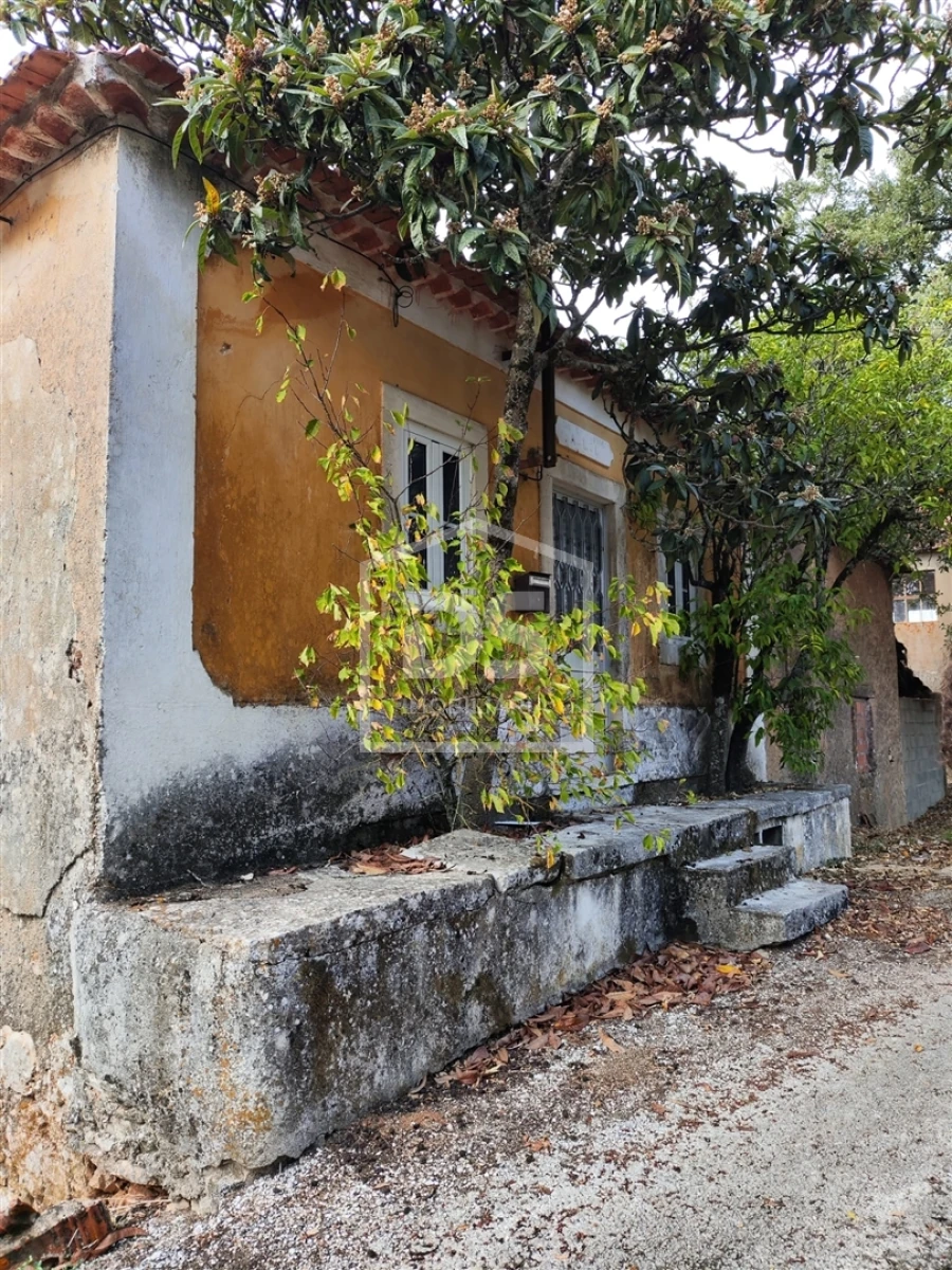 Moradia T3 para Venda em Nossa Senhora das Misericordias Foto 1