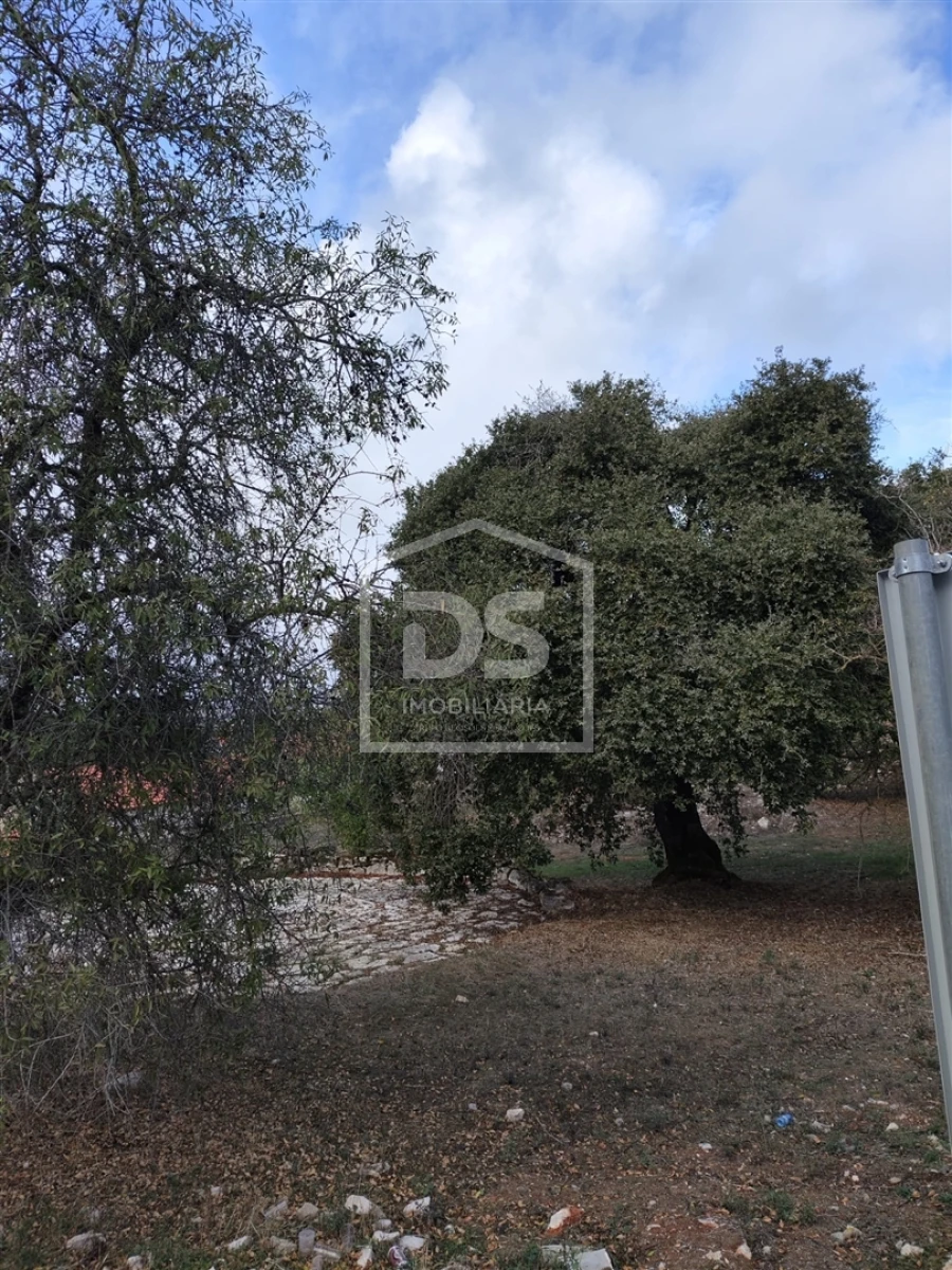 Moradia T3 para Venda em Nossa Senhora das Misericordias Foto 2