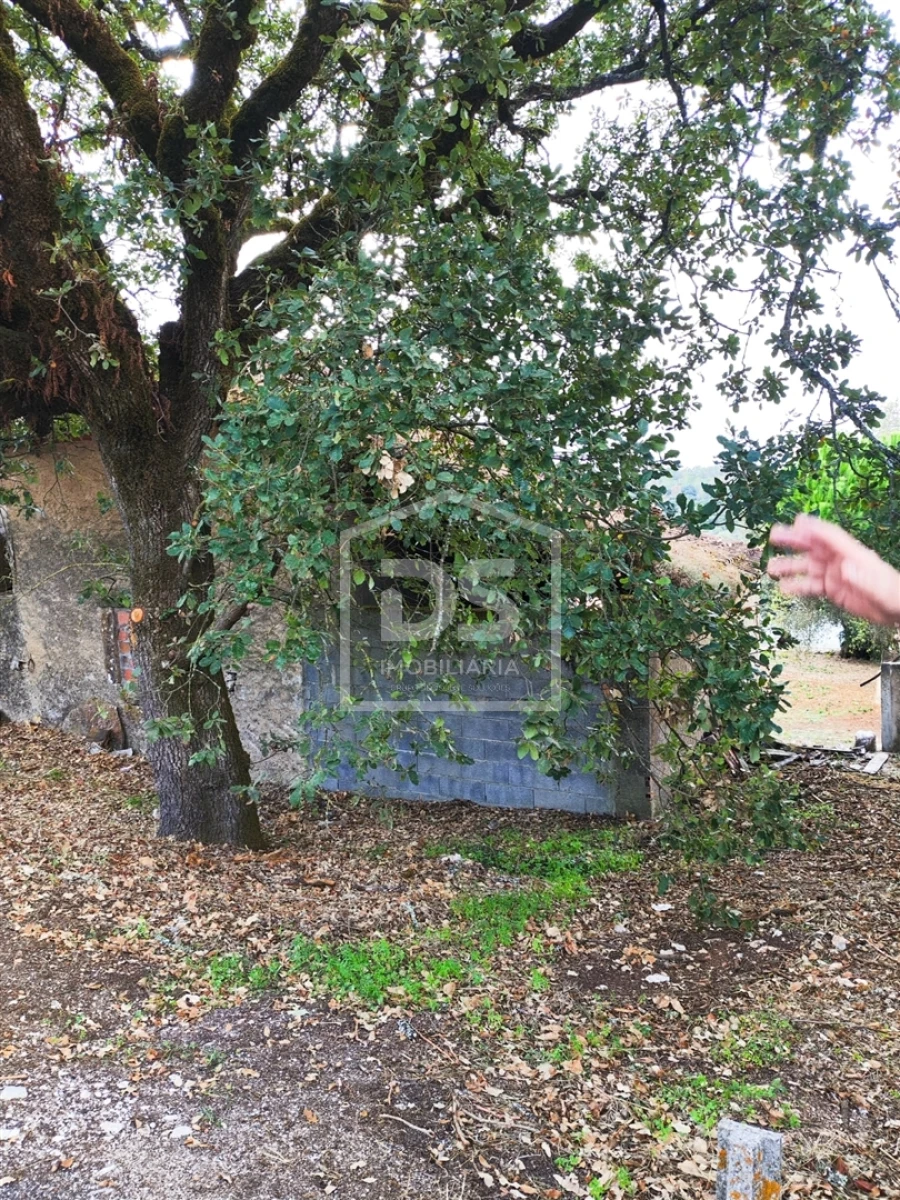 Moradia T3 para Venda em Nossa Senhora das Misericordias Foto 9