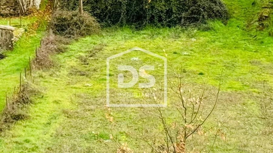 Terreno Agricola ou Rústico para Venda em Quintas de São Bartolomeu