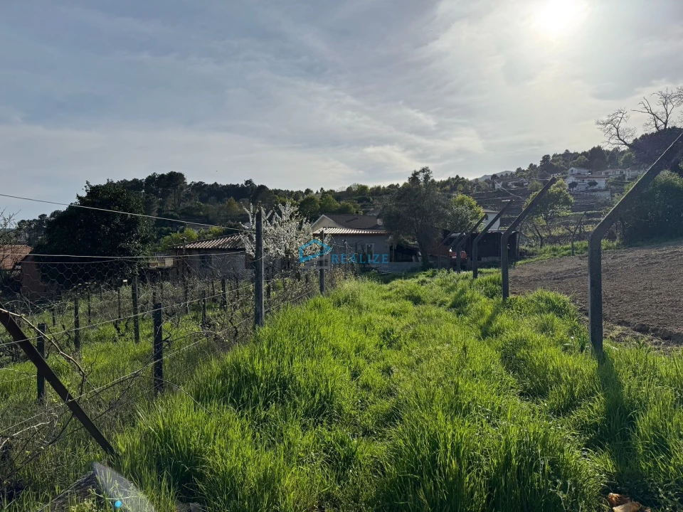 Terreno para Venda em Vila Marim Foto 1