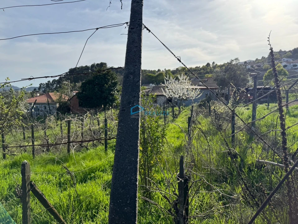 Terreno para Venda em Vila Marim Foto 4