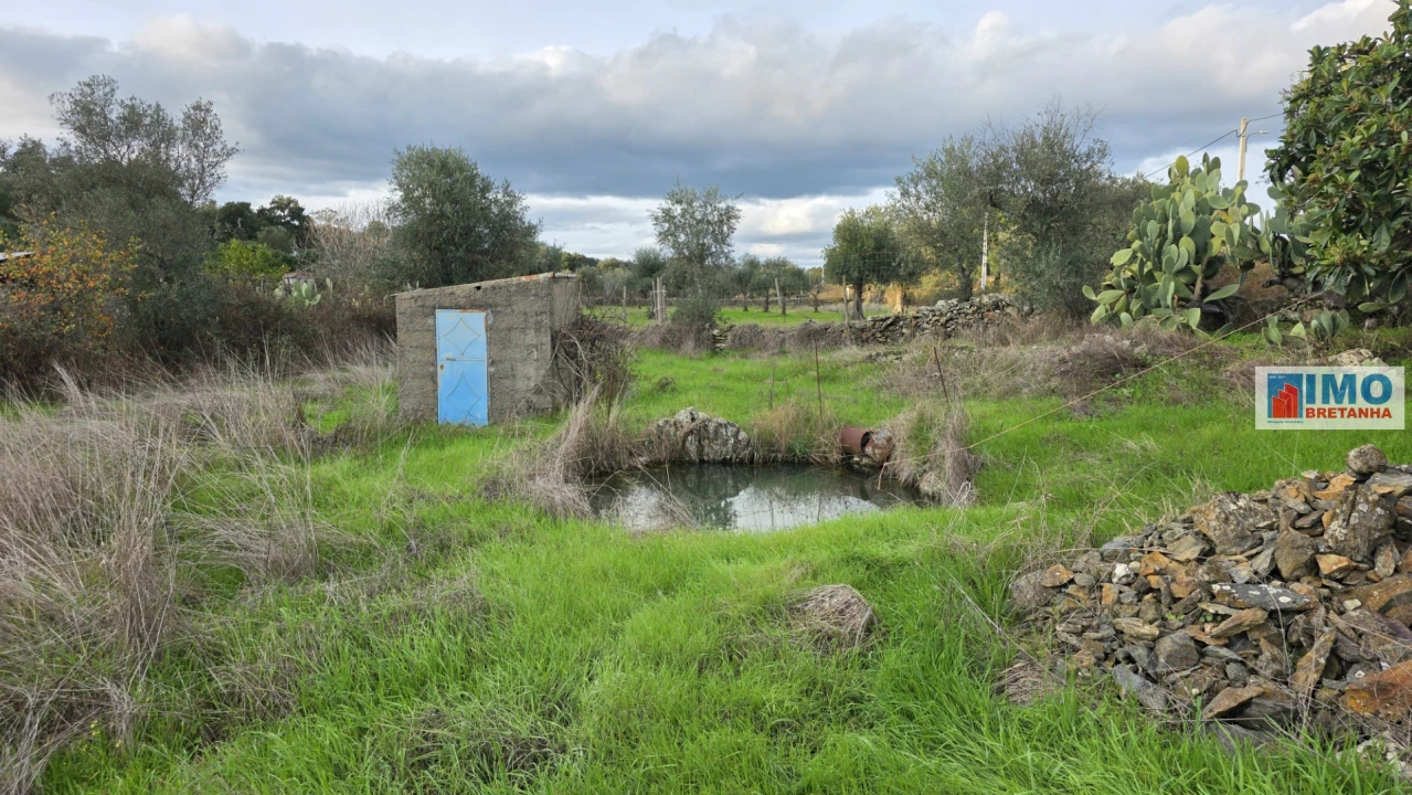 Terreno para Venda em Idanha-A-Nova e Alcafozes Foto 5