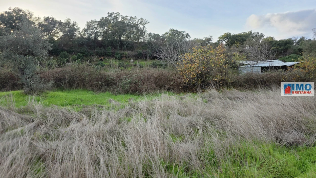 Terreno para Venda em Idanha-A-Nova e Alcafozes Foto 1