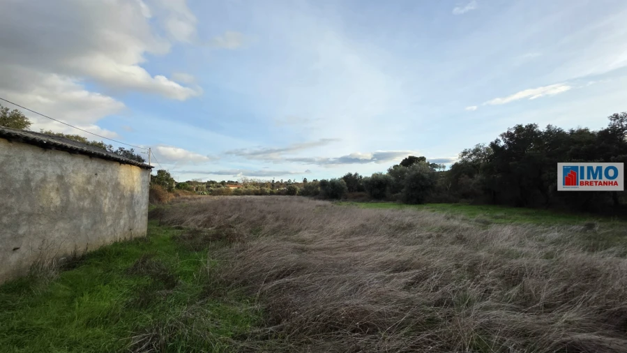 Terreno para Venda em Idanha-A-Nova e Alcafozes Foto 7