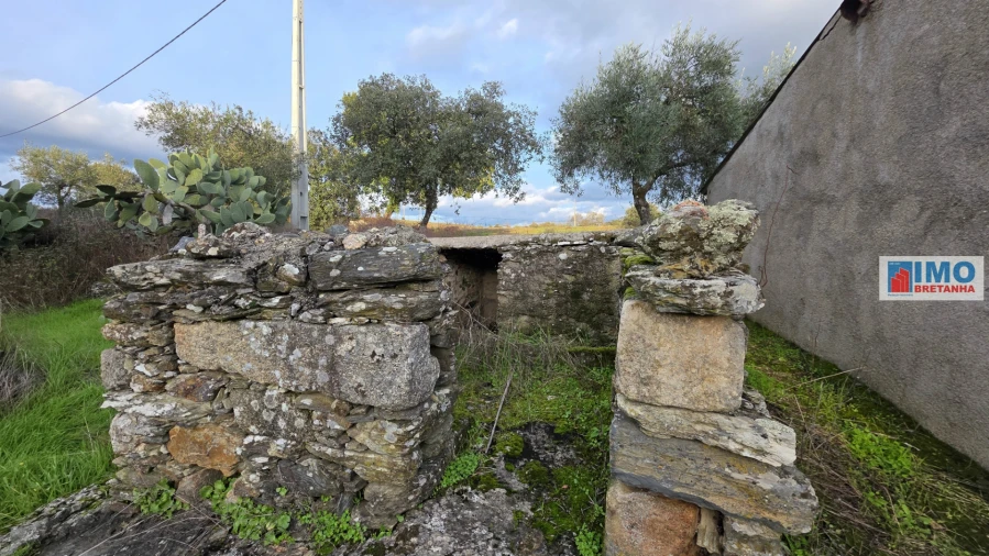 Terreno para Venda em Idanha-A-Nova e Alcafozes Foto 4