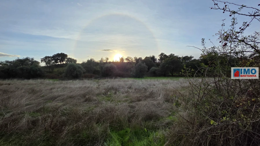 Terreno para Venda em Idanha-A-Nova e Alcafozes Foto 9