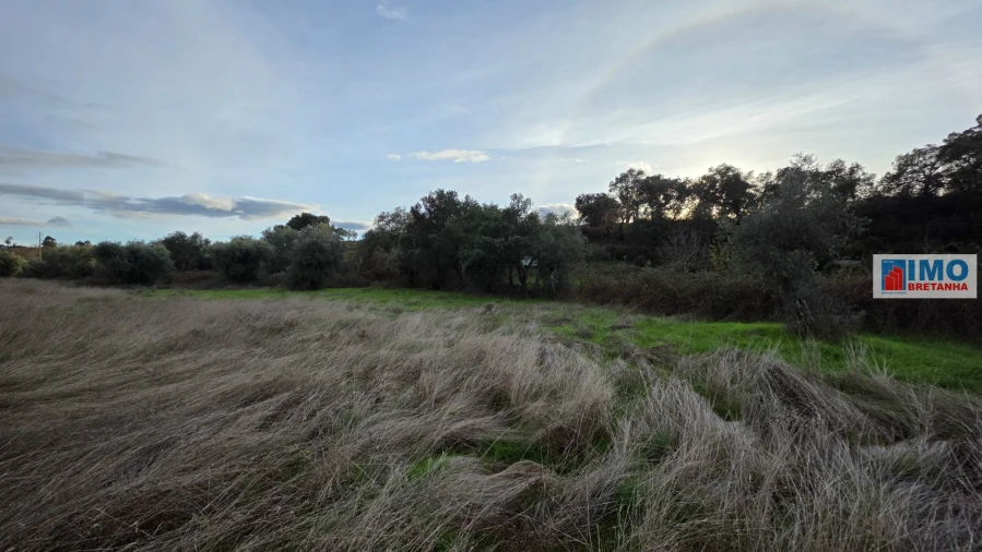 Terreno para Venda em Idanha-A-Nova e Alcafozes Foto 8
